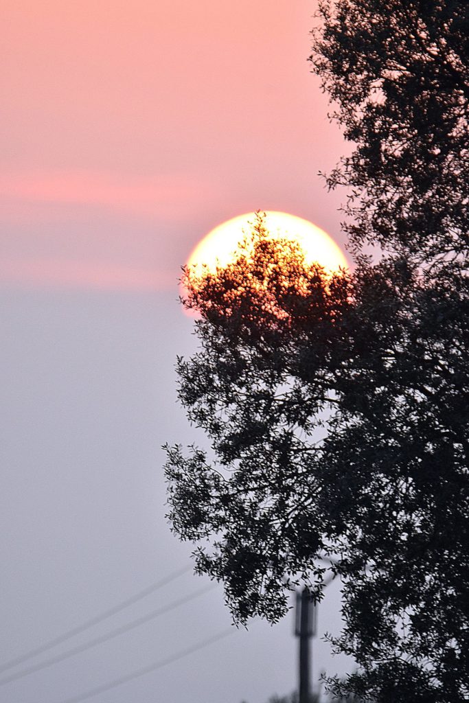 Un lever de soleil de printemps, Carsan, 2020, photos de pierre pujuguet