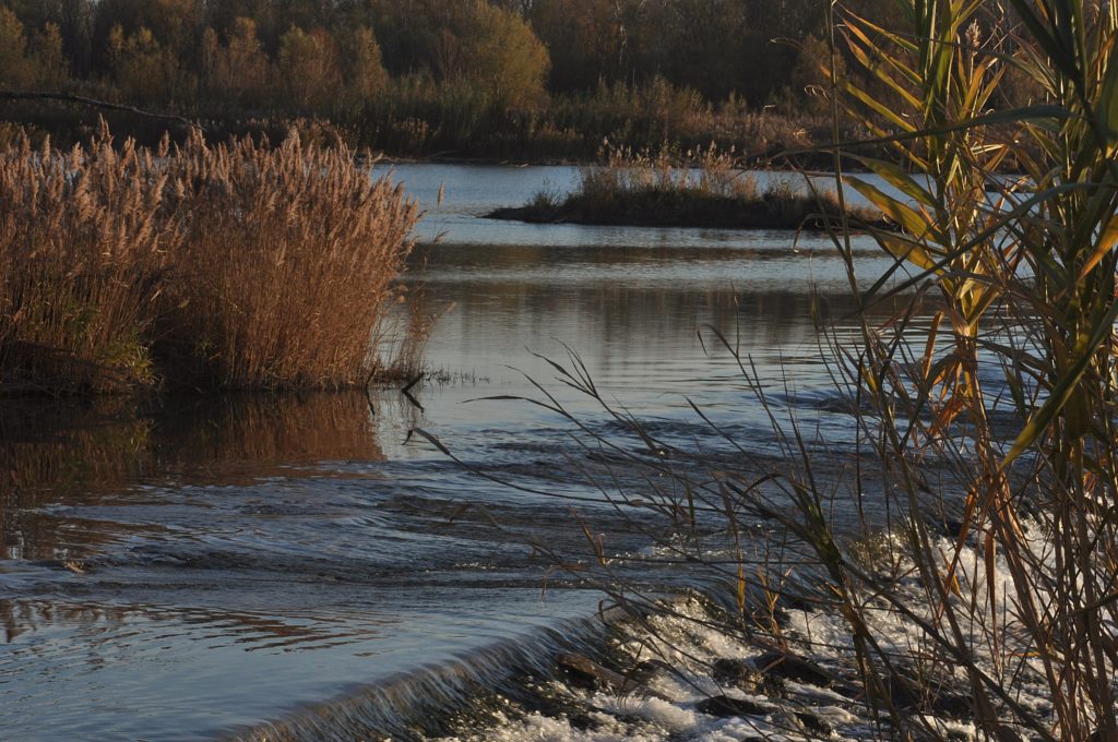 durance, Avignon, decembre 2020, photo de pierre pujuguet