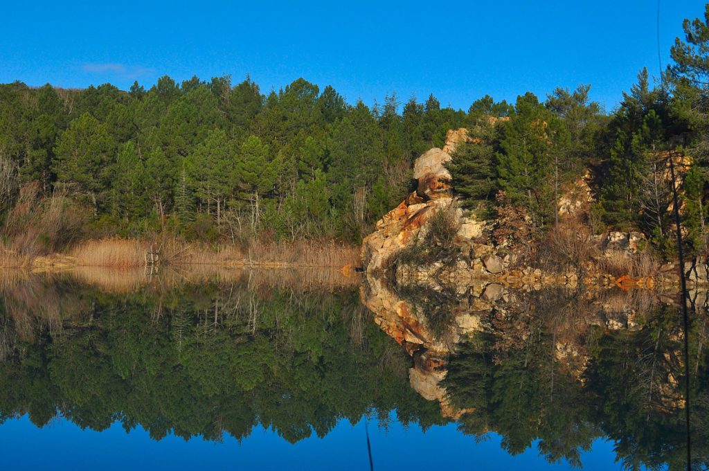 lac de la forestière,Carsan,janvier2021,photo de pierre pujuguet