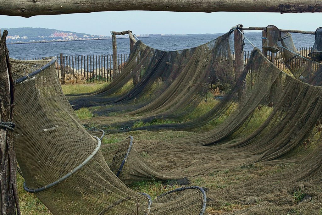 filets à Mèze, septembre 2021, photo de Pierre Pujuguet