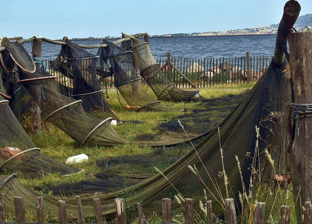 filets à Mèze, septembre 2021, photo de Pierre Pujuguet
