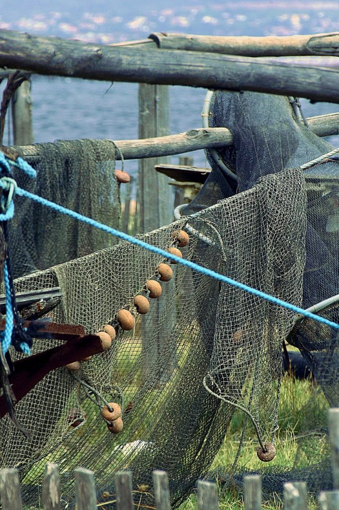 filets à Mèze, septembre 2021, photo de Pierre Pujuguet