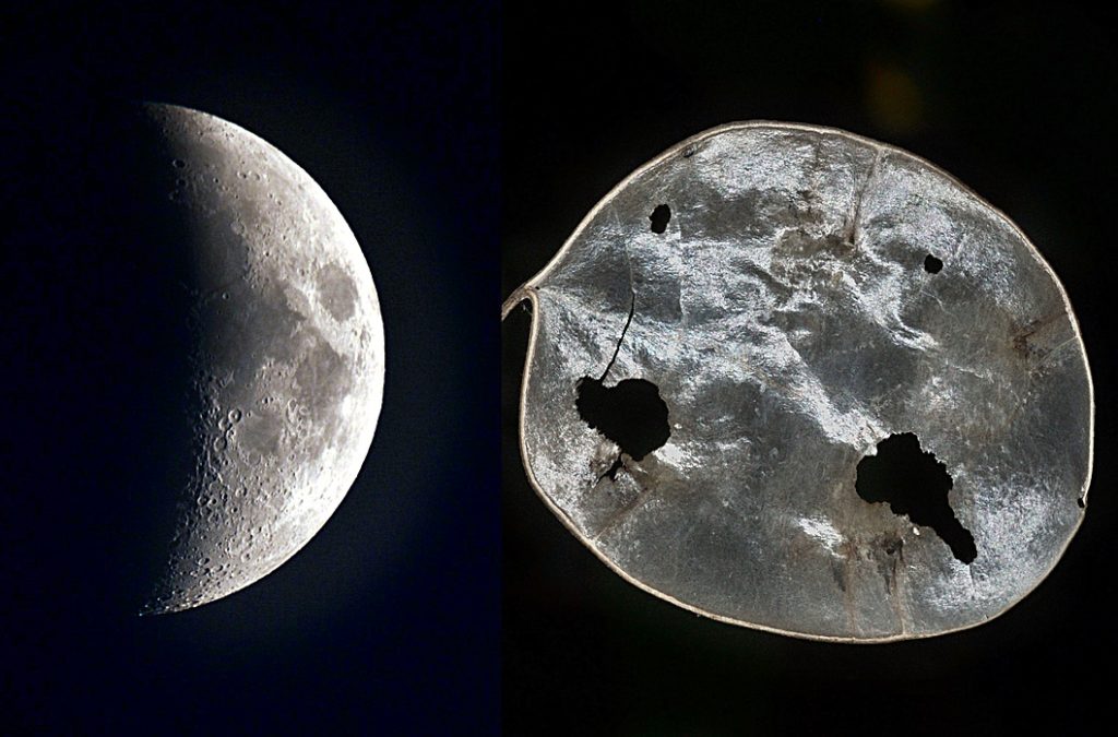 Lune & lunaire, composition sous inkscape, sept 2021, photos de Pierre Pujuguet