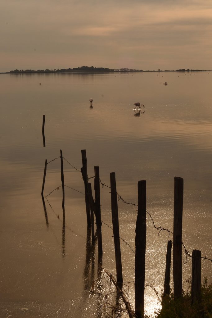 Vers la presqu'île de Maguelone, Novembre 2021, photo de Pierre Pujuguet
