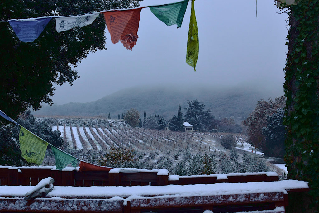 neige à Carsan, décembre 2021, photo de Pierre Pujuguet