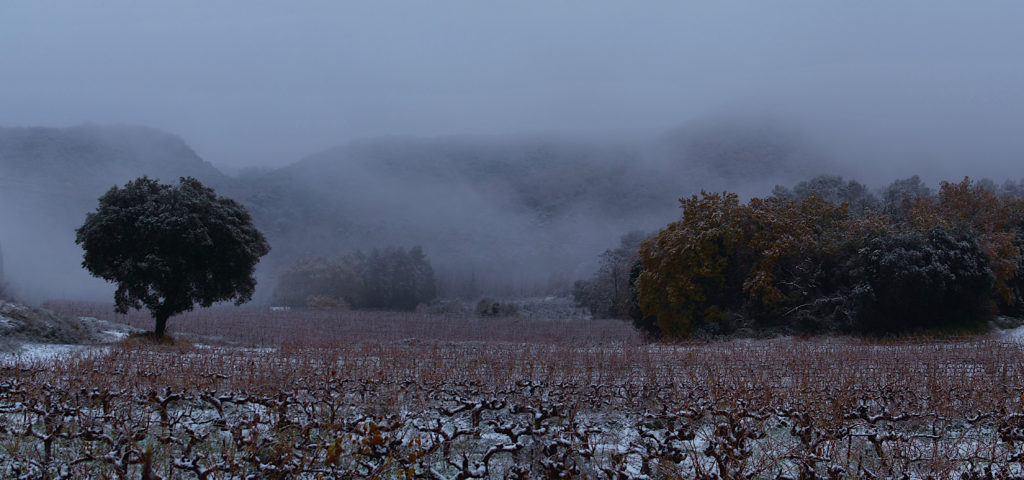 neige à Carsan, décembre 2021, photo de Pierre Pujuguet