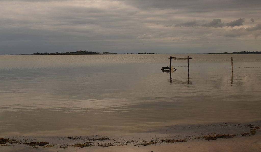 Vers Maguelone, Avril 2022, photo de Pierre Pujuguet