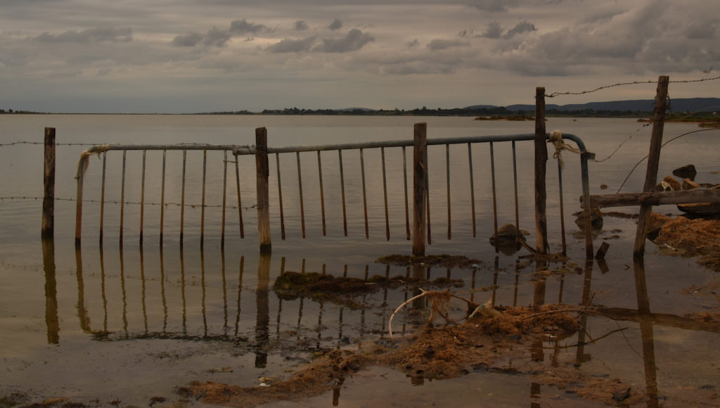 Vers Maguelone, Avril 2022, photo de Pierre Pujuguet