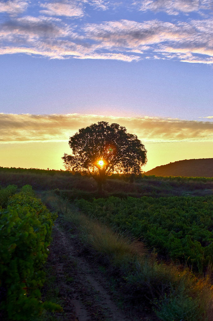 Lever de soleil sur le ventoux, oct 2021, photo Pierre Pujuguet , traitement HDR et bracketing