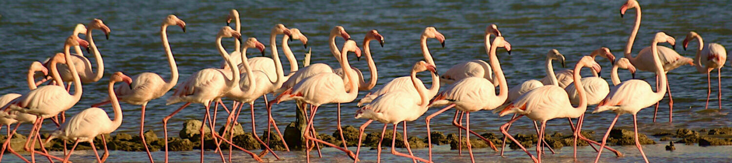 Terre-Méditerranée